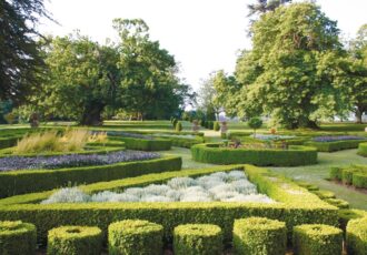 Nynehead Court gardens showing the parterre, ornate hedges leading to trees.