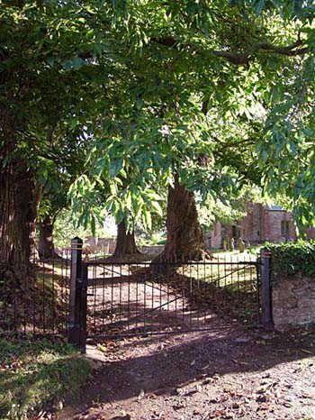 A wide metal gate leading to a wide tree-lined path. Sunlight catches the headstones in the churchyard beyond