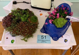 3 interesting garden arrangments, filled with succulents and alpine plants. One is in an old toaster, and another in a large blue plastic potty with a sign saying "bog garden"