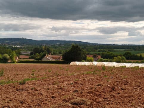 Ploughed field, with polytunnels, view beyond of East Nynehead