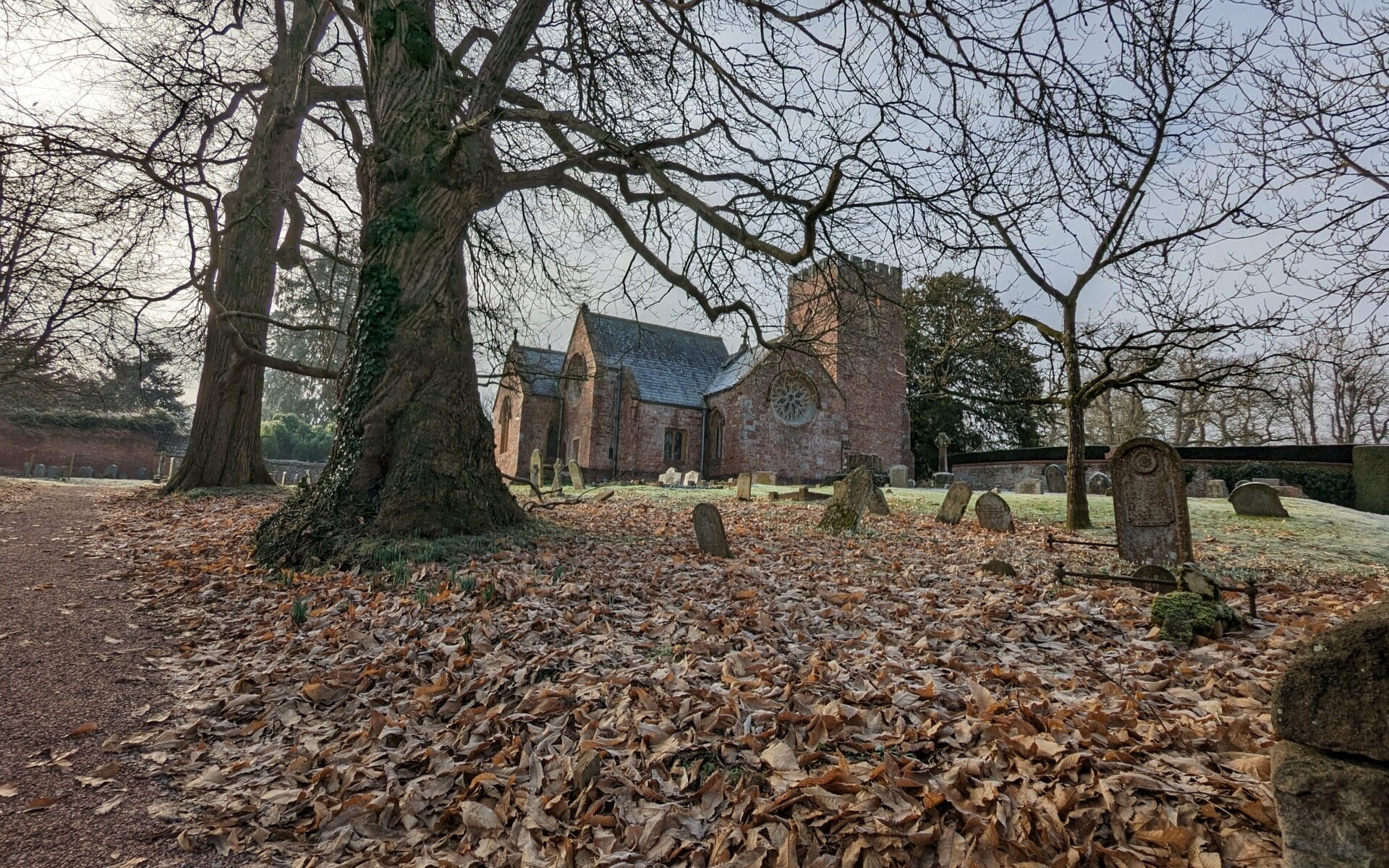 A beautiful red brick church sits in a churchyard full of fallen leaves. A bare tree fills the front of the frame. The light is wintery and grey.