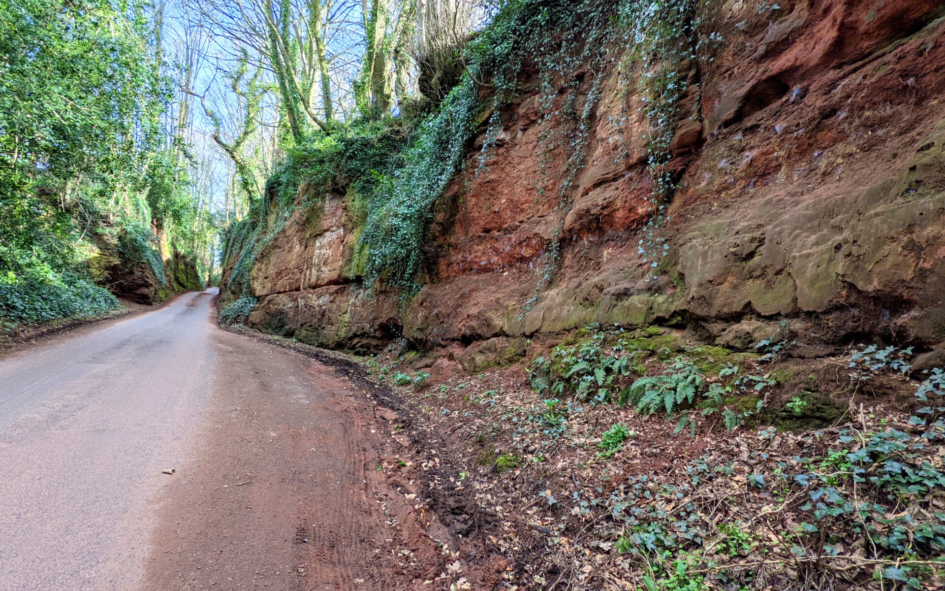 A road runs through the high, red, rocky walls of Nynehead Hollow.